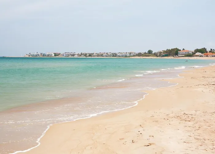 Flamingo 21 By Homeprive 아파트 데니아